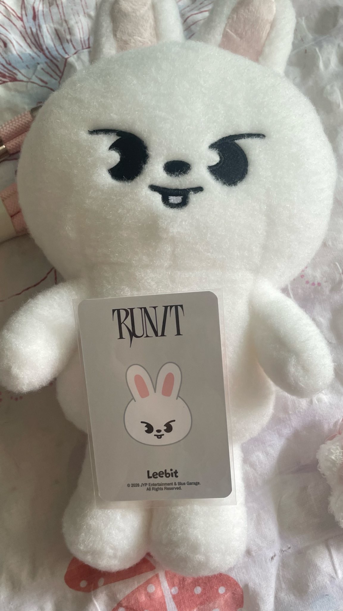 Run it場周 現貨：側背娃（李畢、啵阿里）