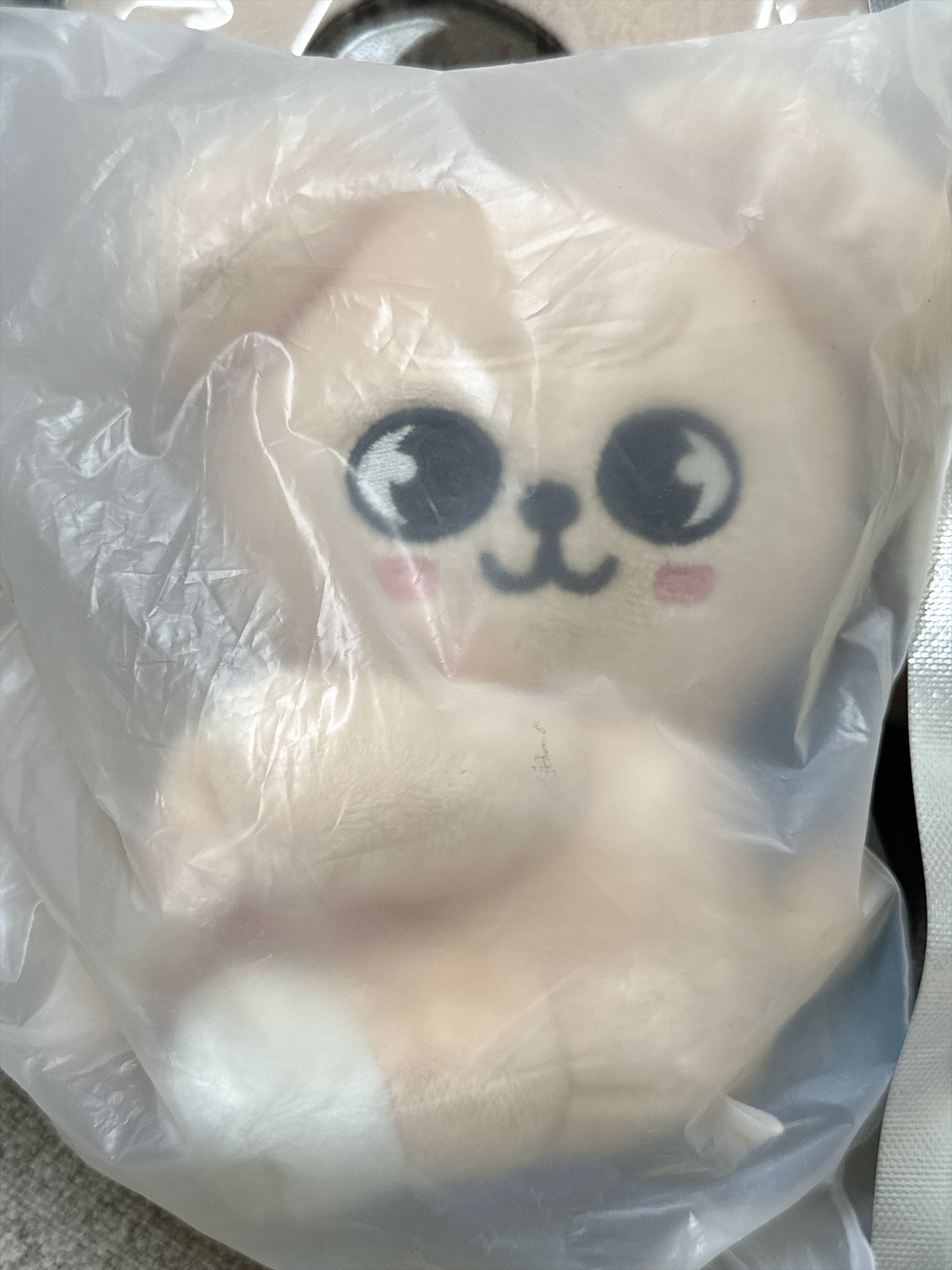 在台現貨全新-扣環式抱抱娃+大娃抱著小娃：帕皮（贈隨機滿額卡）