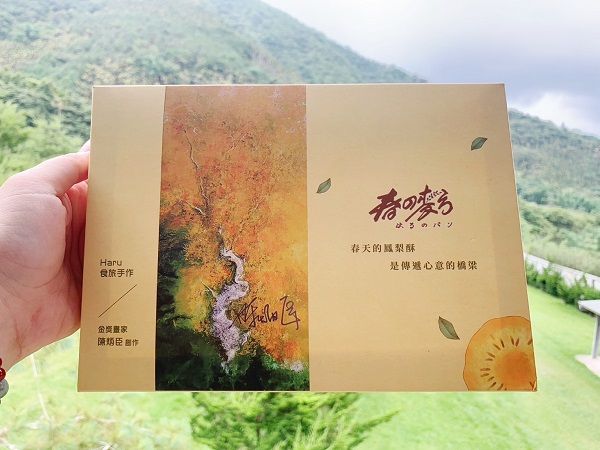 鳳梨酥伴手禮6盒一組（三種口味一次獨有）