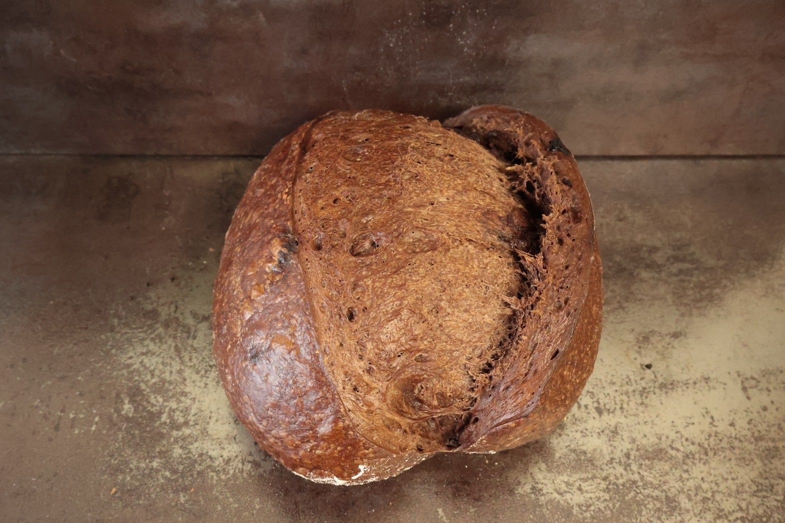 [7/25寄出] 比利時可可酸種麵包 Chocolate Sourdough