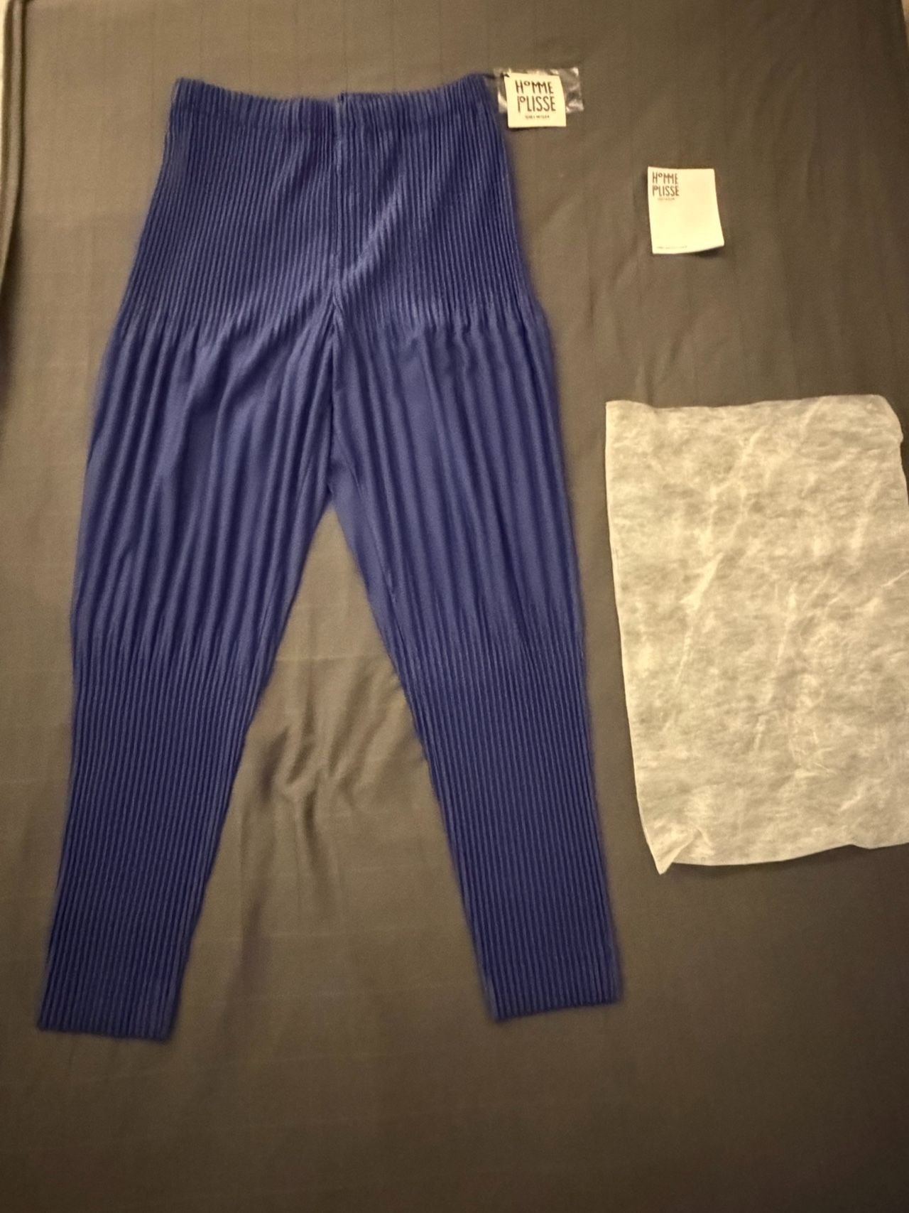 Homme Plisse Issey Miyake （熱壓紋長褲）