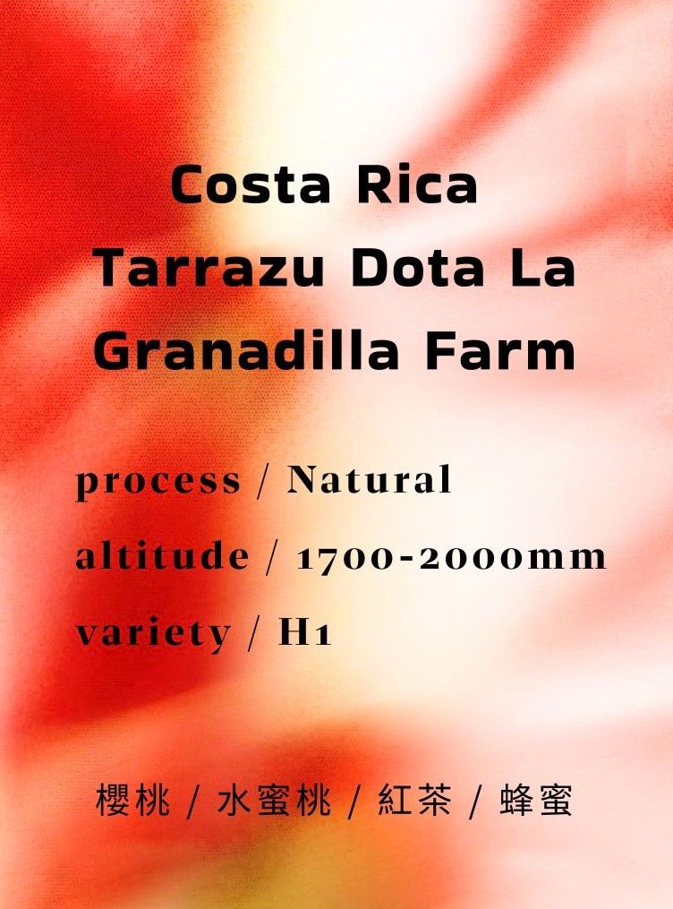 哥斯大黎加 Tarrazu Dota La Grandilla Farm｜Natural