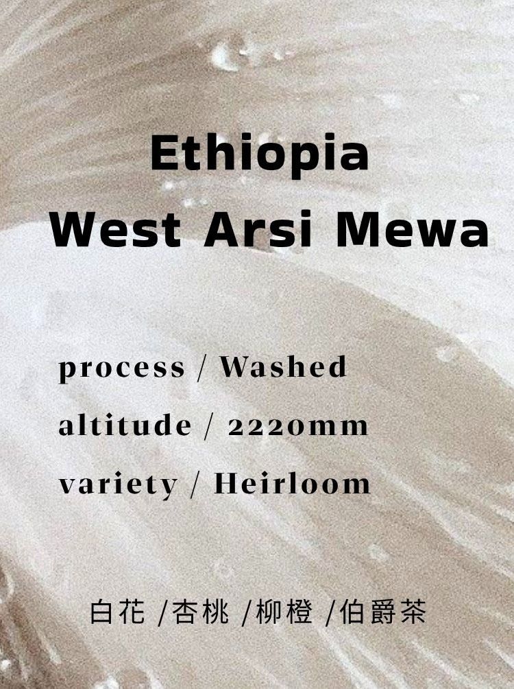 衣索比亞 West Arsi Mewa｜Washed