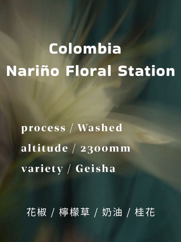 哥倫比亞 Nariño Floral Station｜Washed