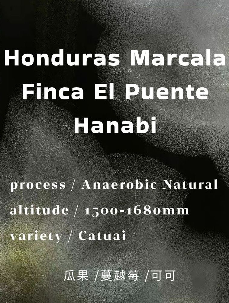 宏都拉斯 Marcala Finca El Puente Hanabi｜Anaerobic Natural厭氧日曬
