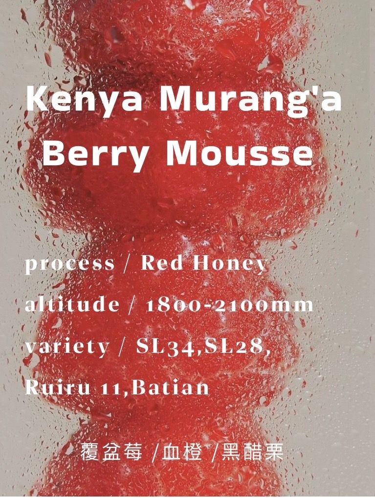 肯亞 Murang’a Berry Mousse｜Red Honey 紅蜜處理