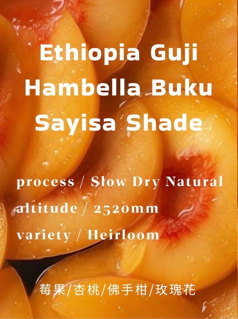 Ethiopia Guji Hambella  Buku Sayisa Shade