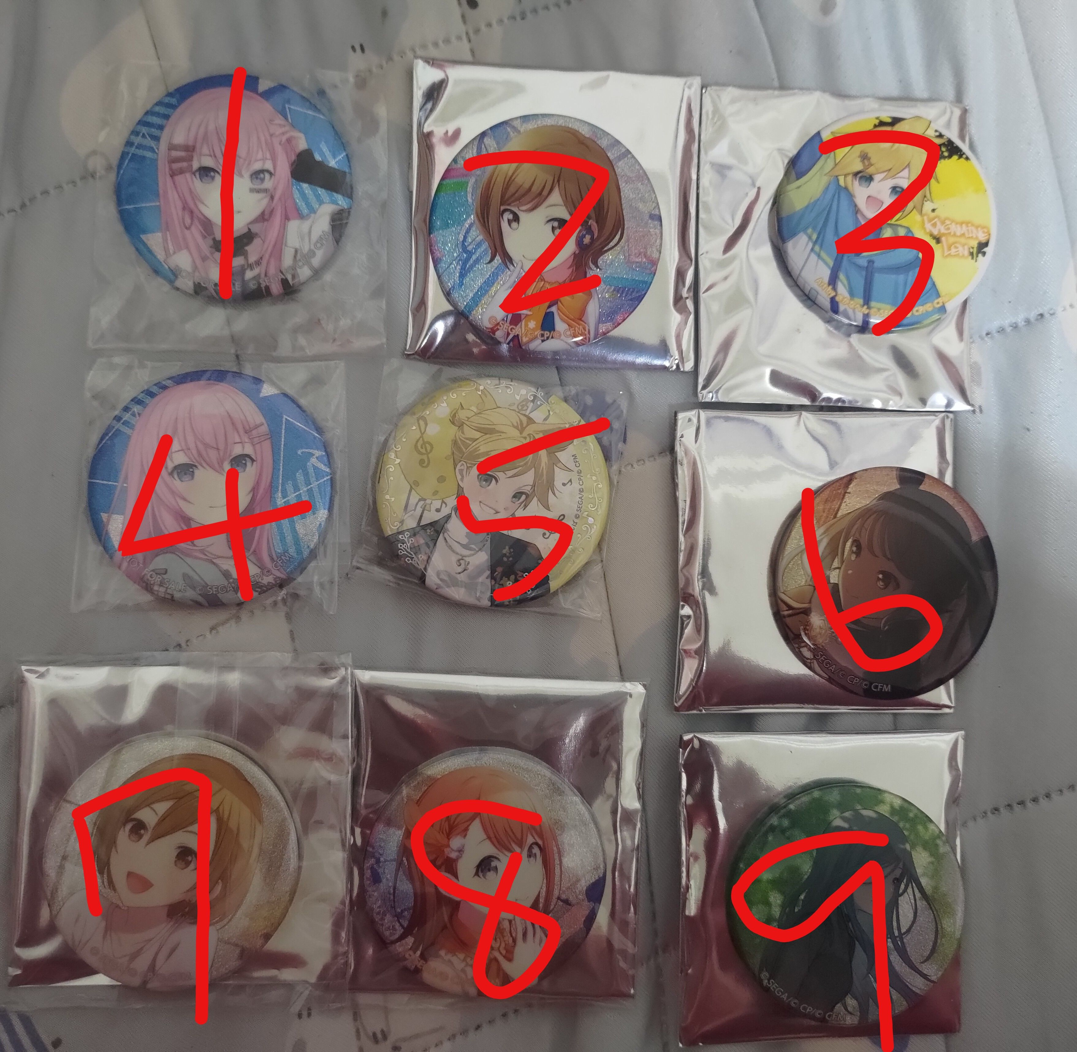 徽章（2）徽章綁物