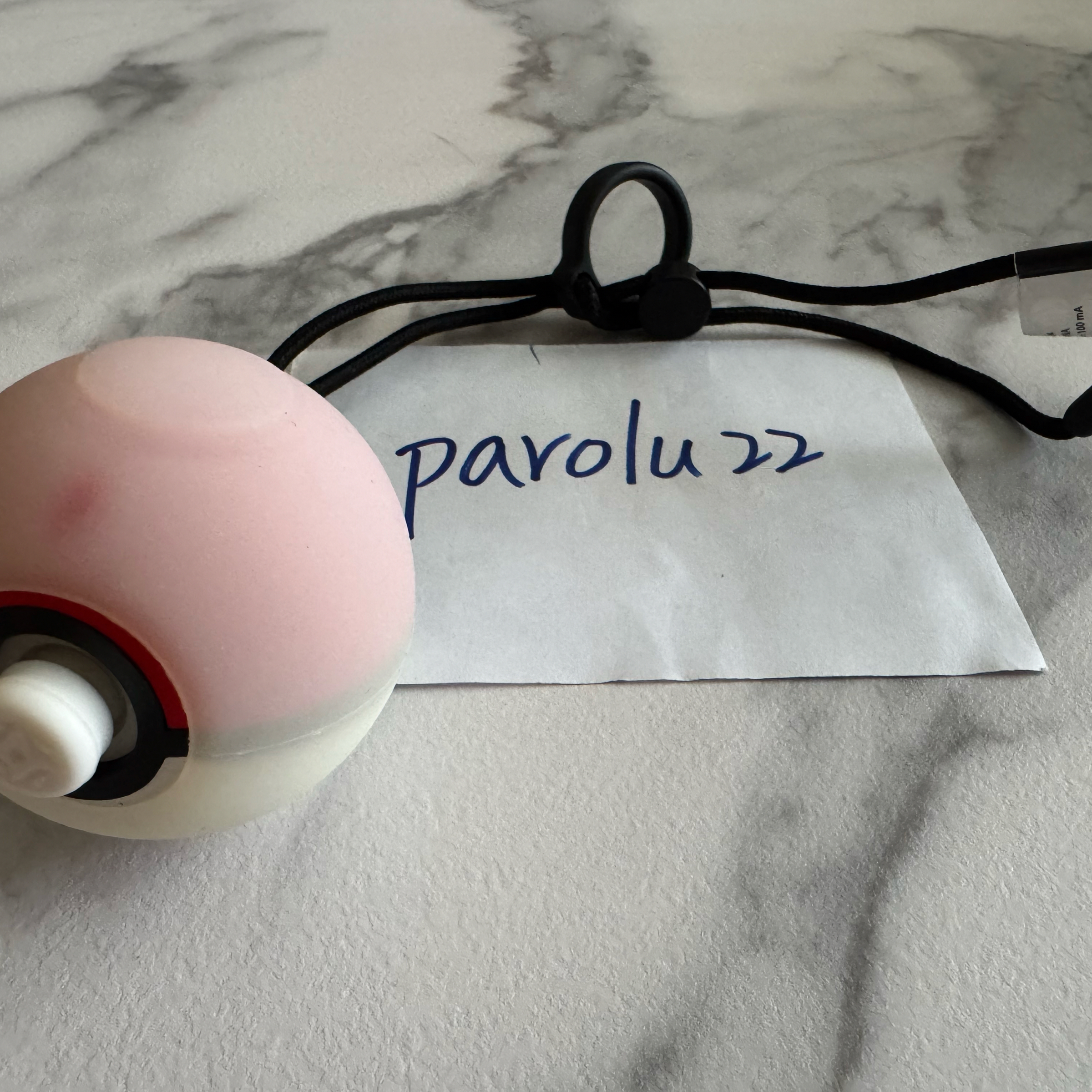 NS 精靈球 Plus 加保護套保護殼