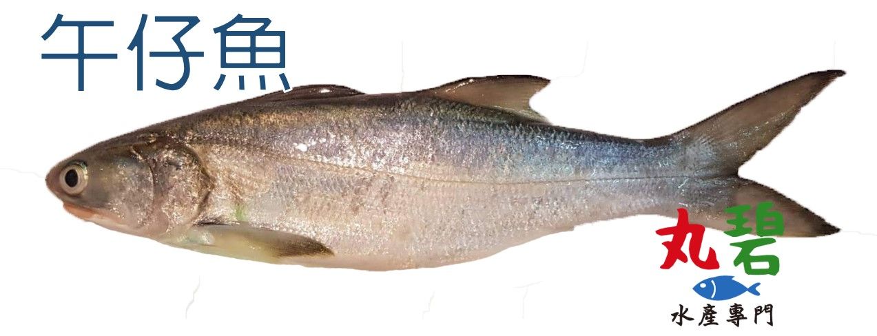 午仔魚 250g/入 台灣 海水養殖 午仔
