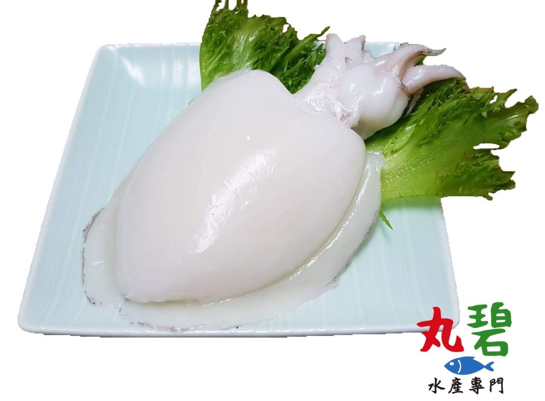 鮮凍花枝 台灣產 野生