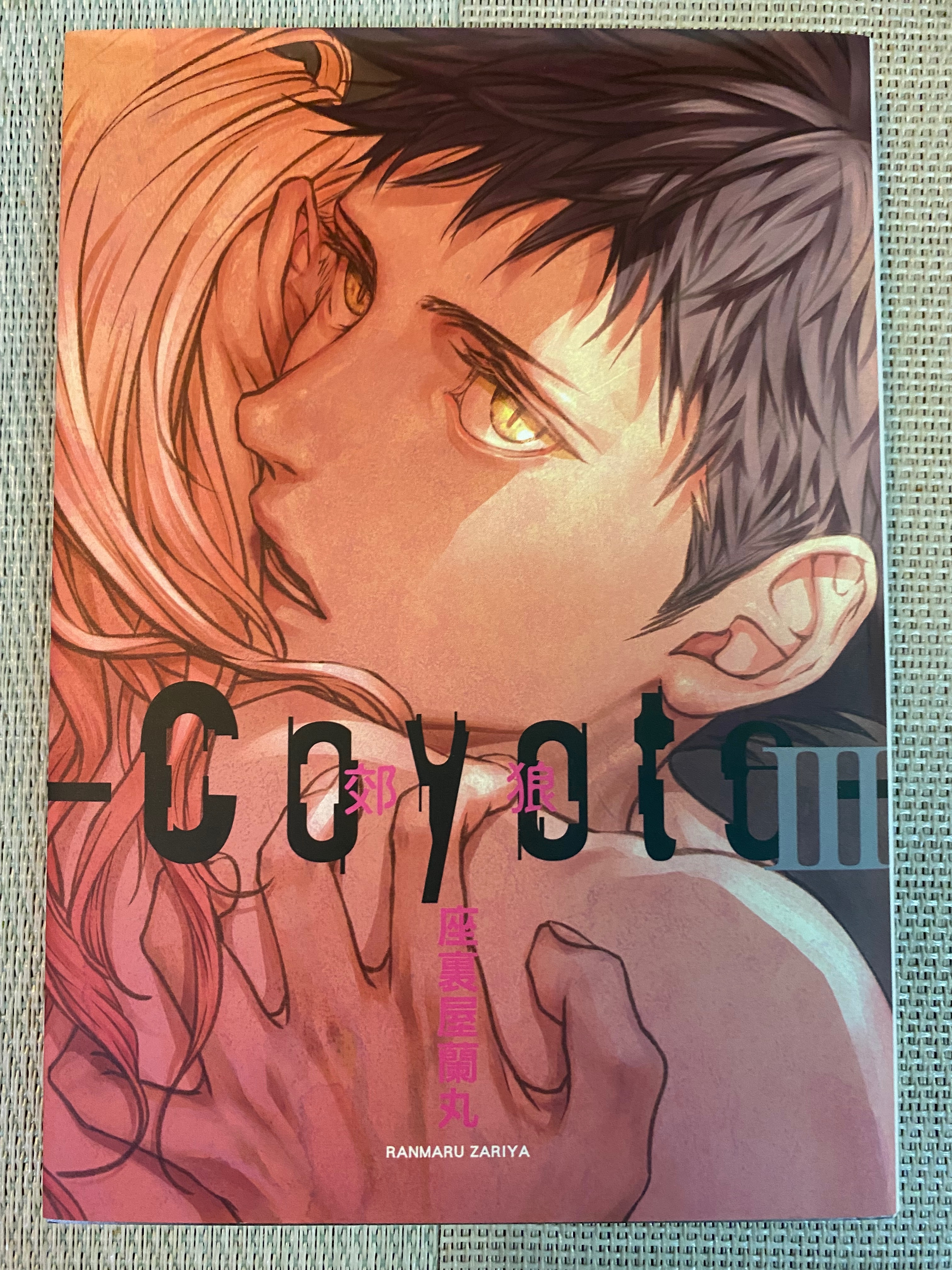 Coyote 郊狼 3