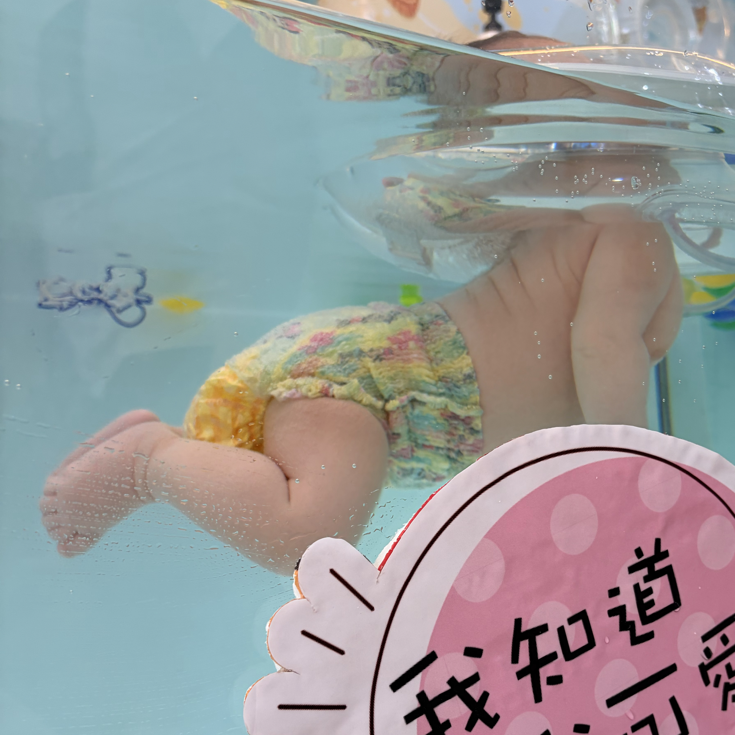 螃蟹的二手專區🦀