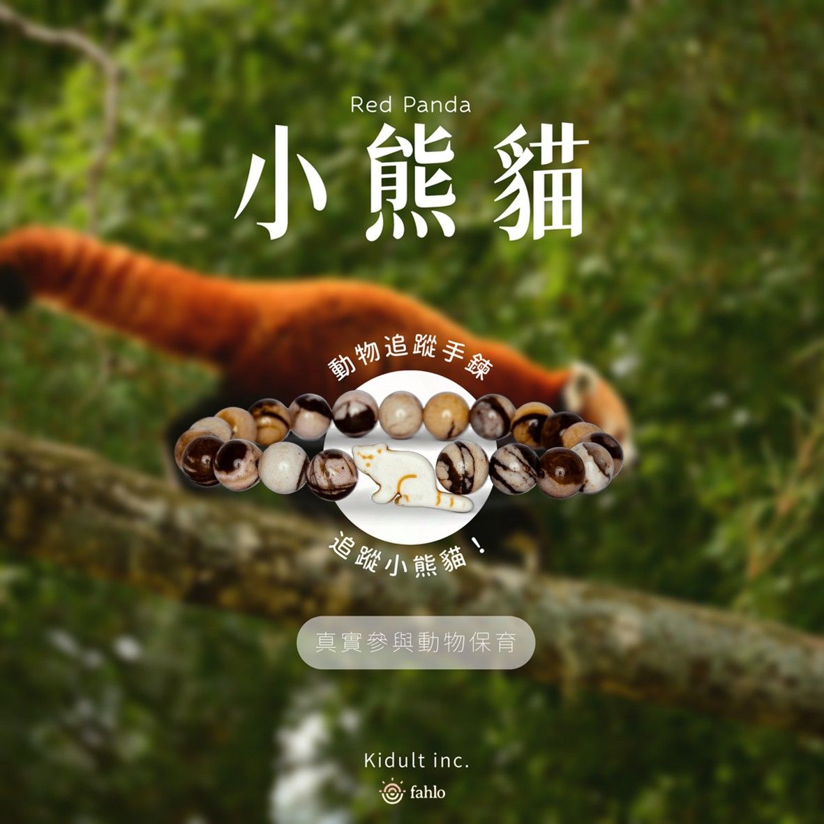 🧡小熊貓款
