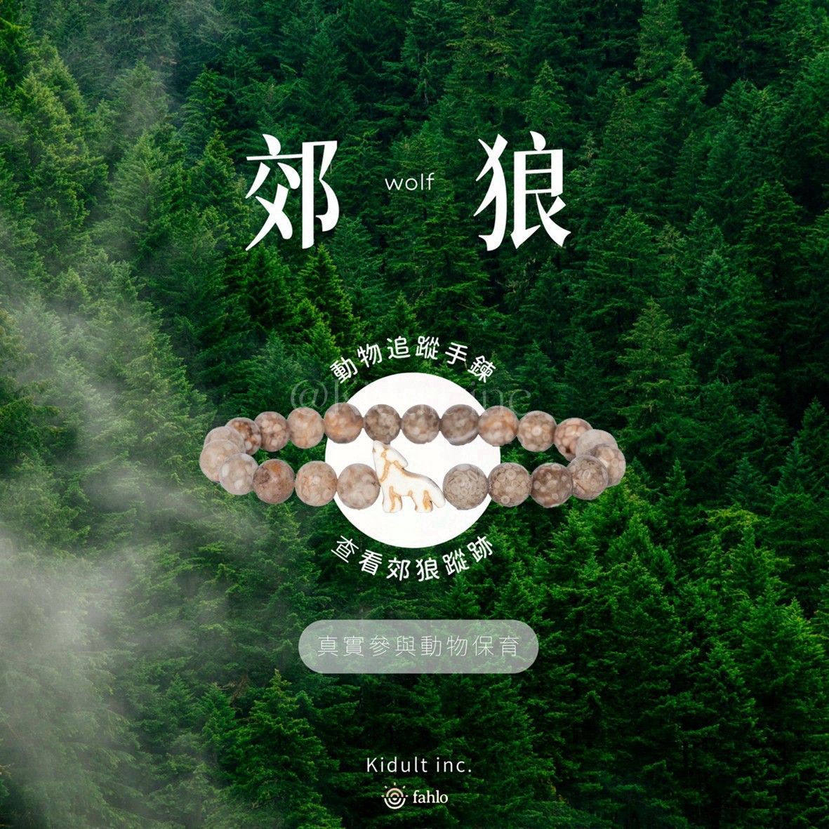 🐺郊狼款