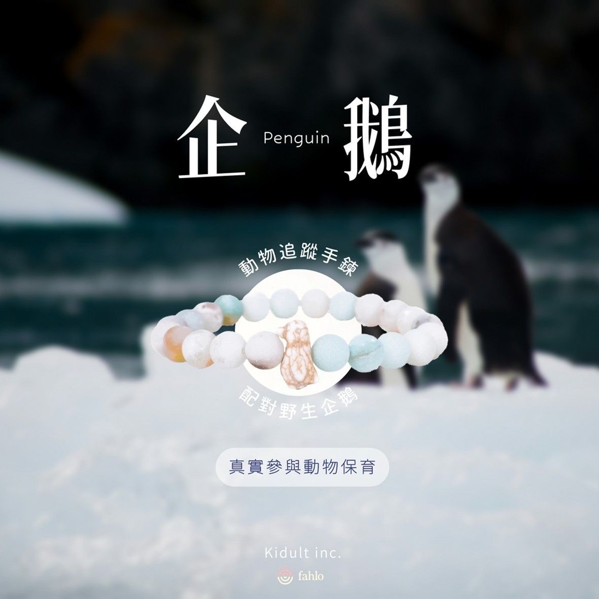 🐧企鵝款