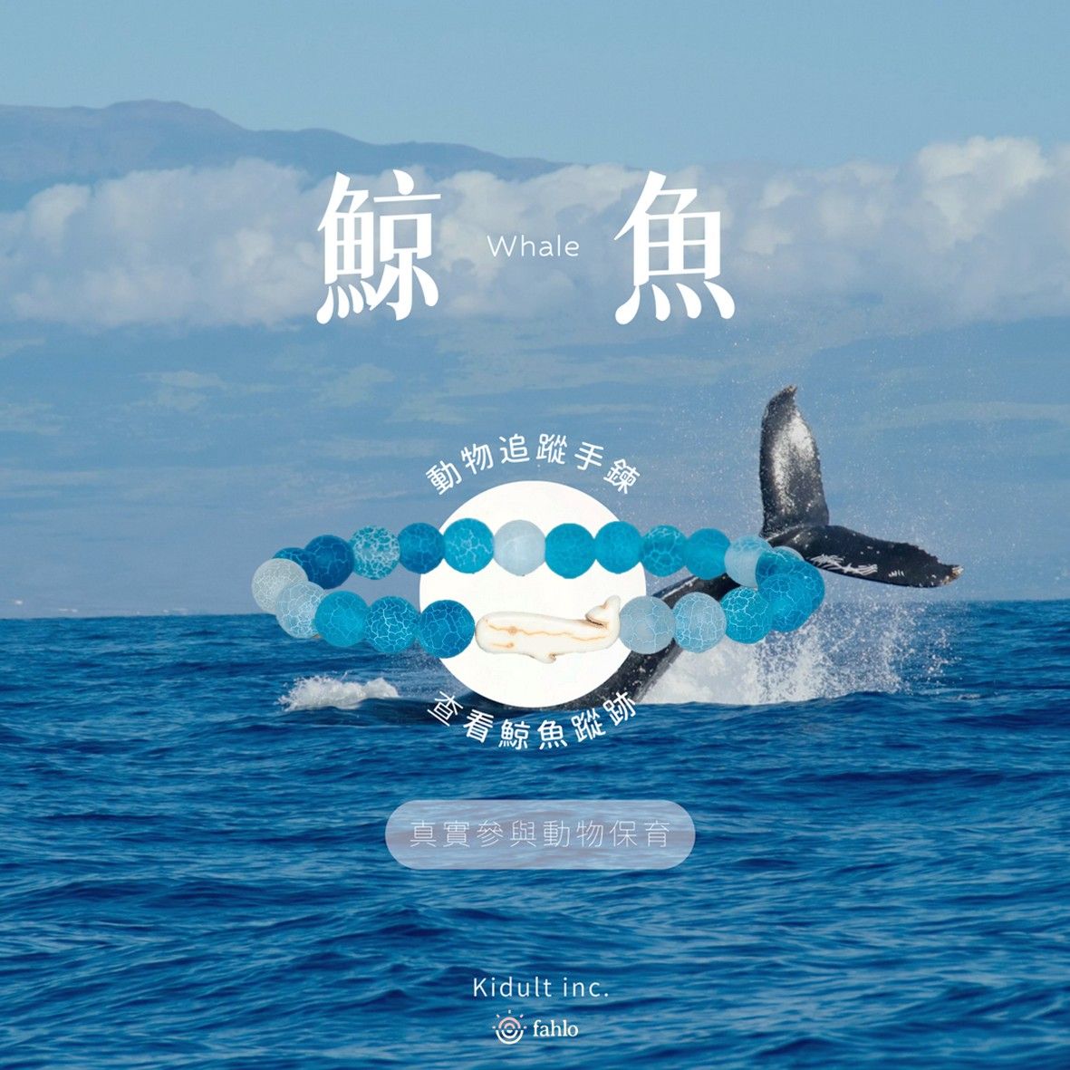 🐋鯨魚款