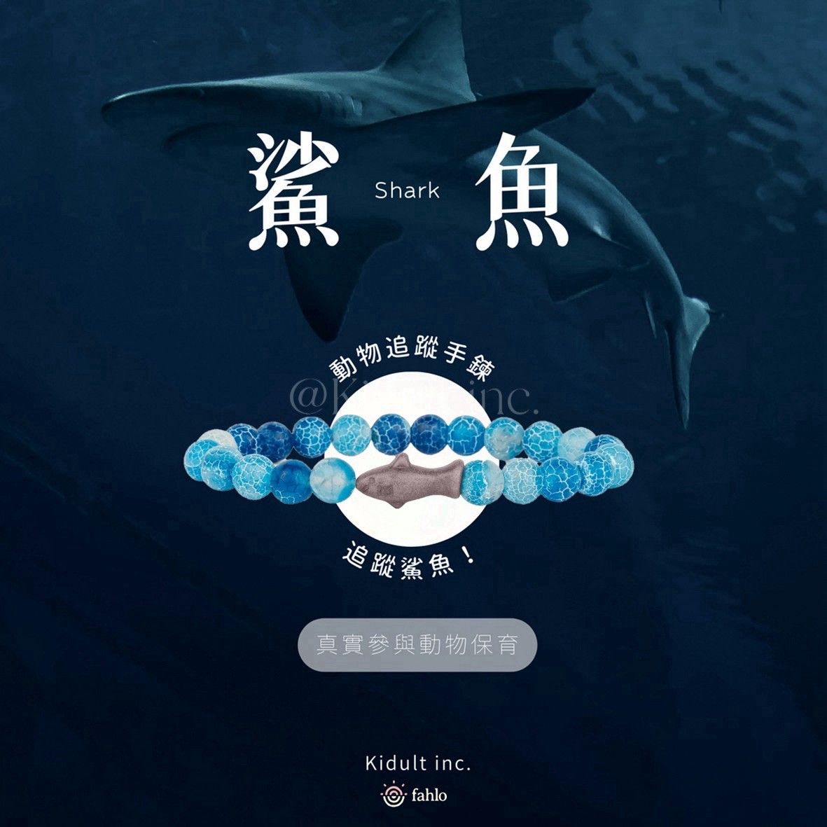 🦈鯊魚款