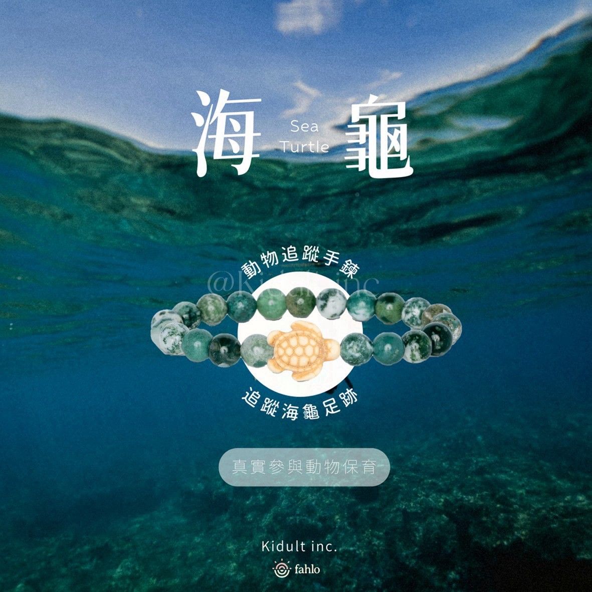 🐢海龜款