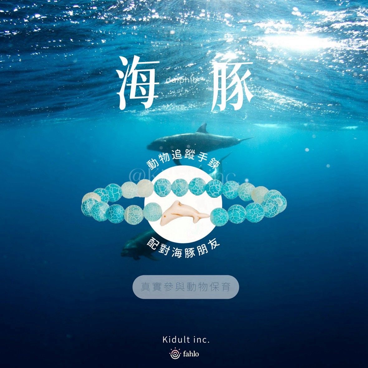 🐬海豚款
