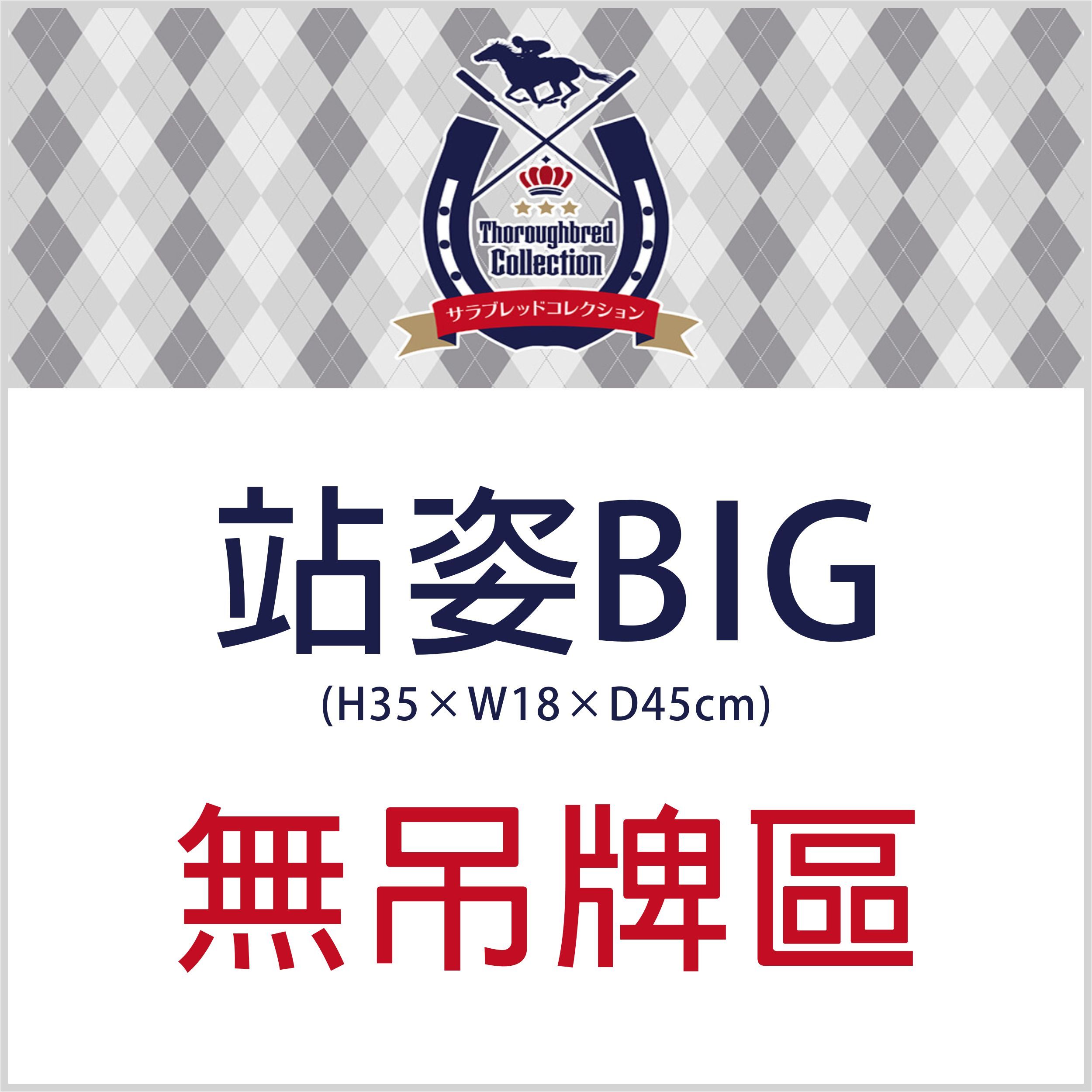 無吊牌 sk-japan 站姿BIG ★下單前請先詳讀內文★ BIG一單最多只能下2隻★ H35×W18×D45cm