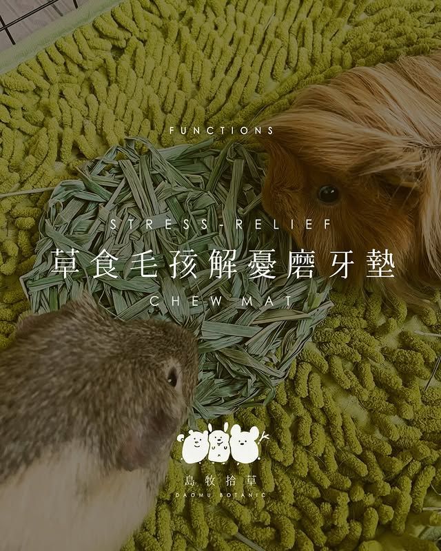 🌱 草食毛孩解憂磨牙墊
