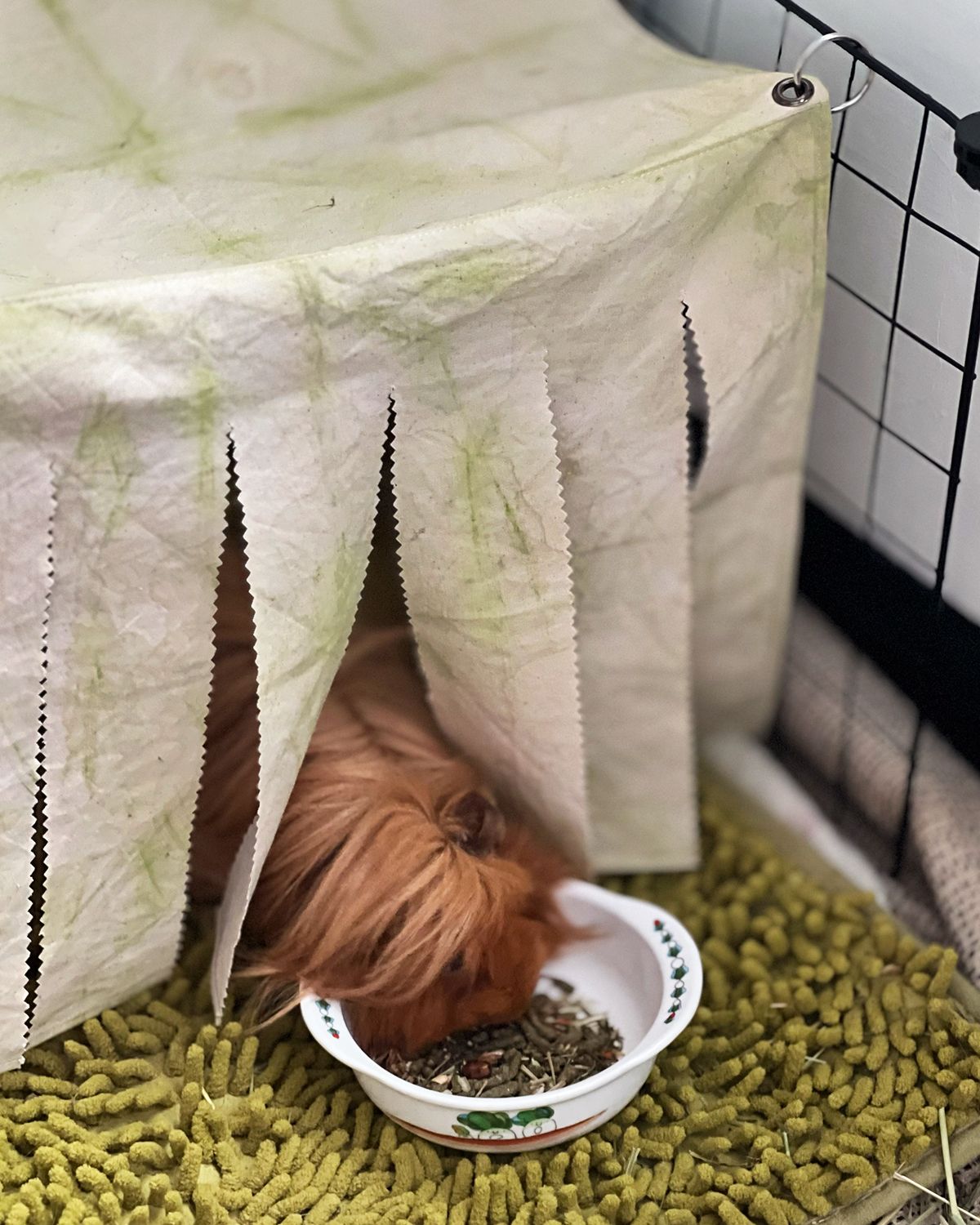 🛖 植萃牧草染無毒布製躲避窩