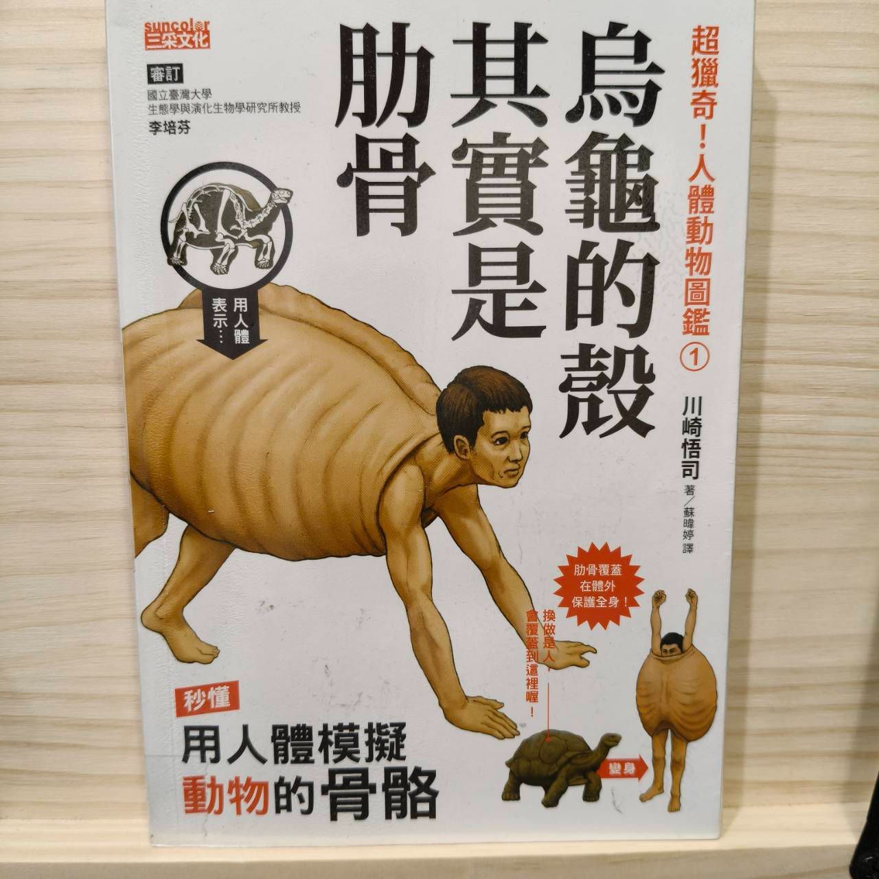 超獵奇！人體動物圖鑑①烏龜的殼其實是肋骨