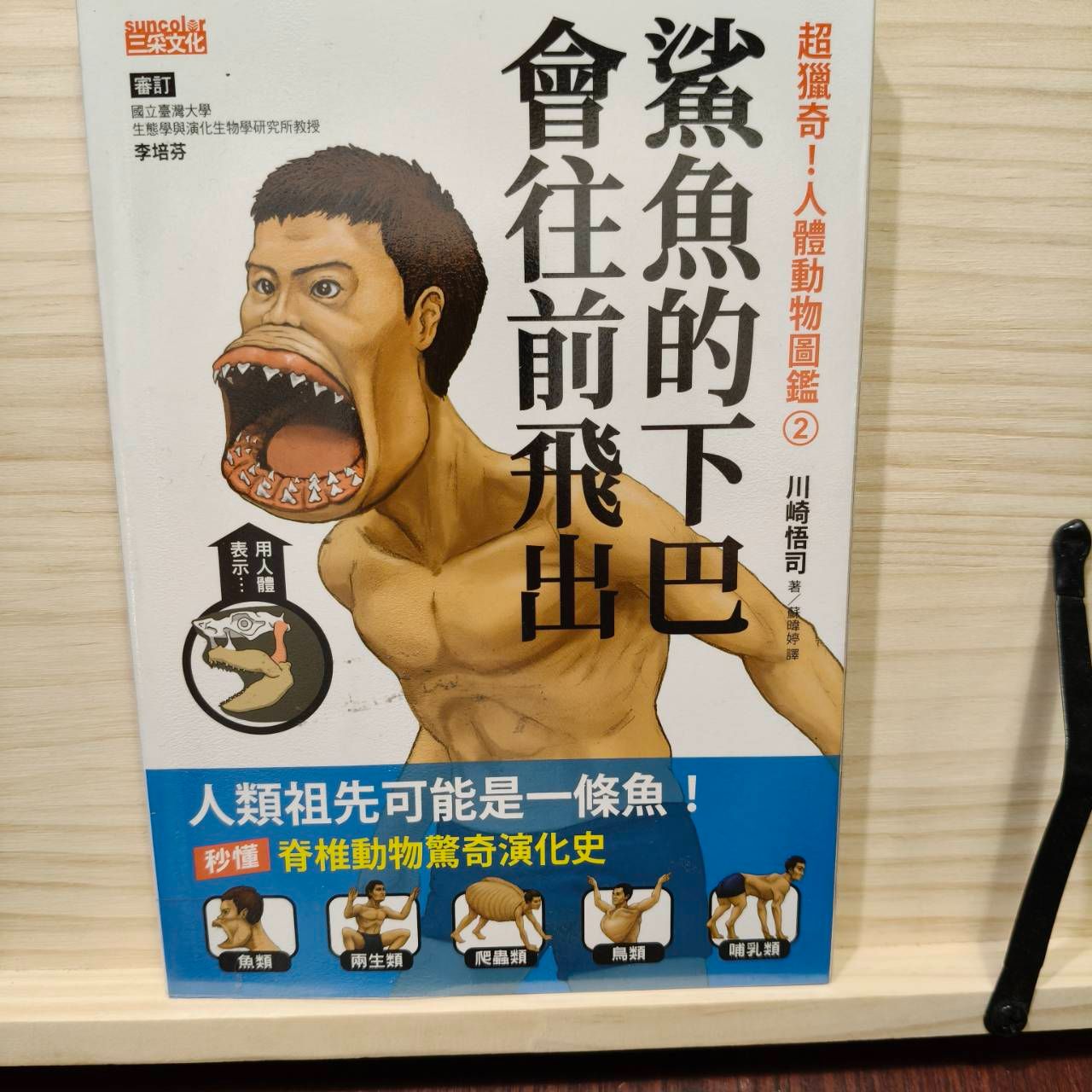 超獵奇！人體動物圖鑑②鯊魚的下巴會往前飛出