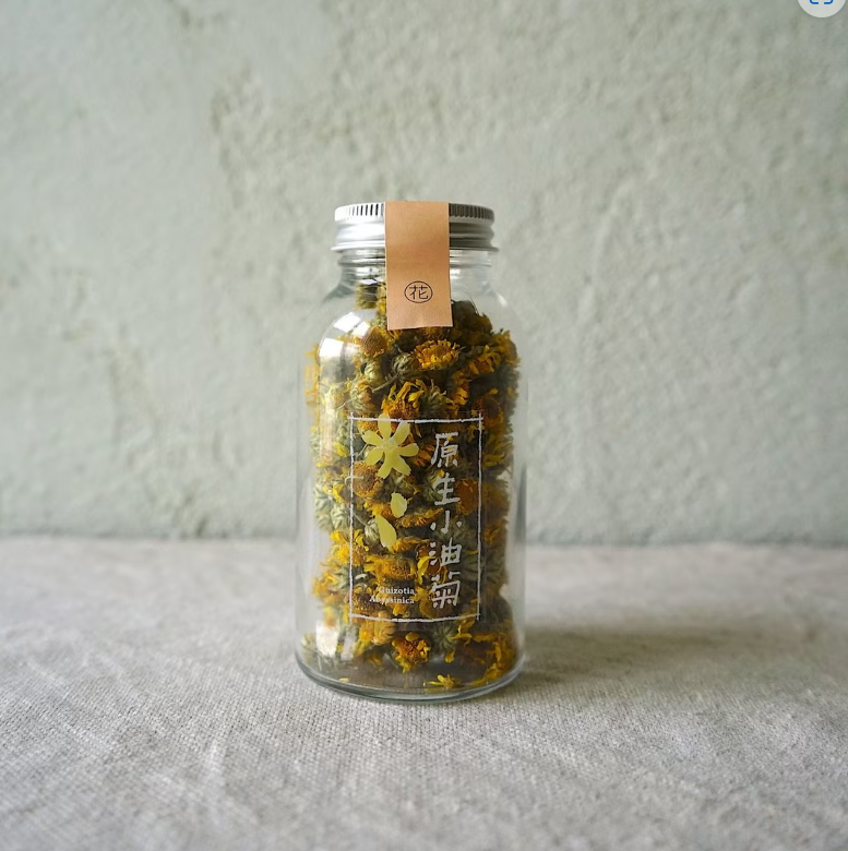 【土生土長】原生小油菊