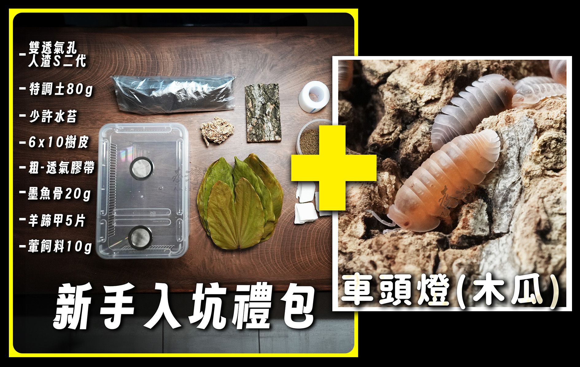 ＜入坑組人包＋鼠婦模型優惠套組＞