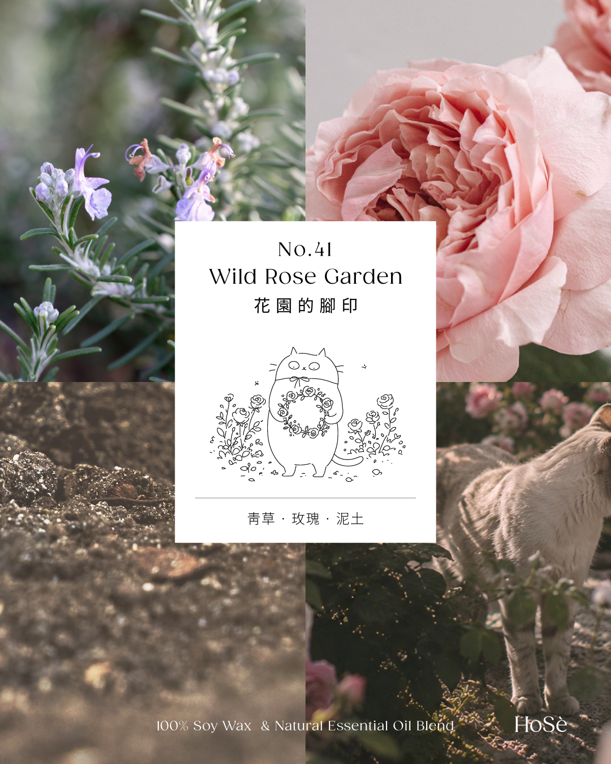 No.41 Wild Rose Garden  花園的腳印