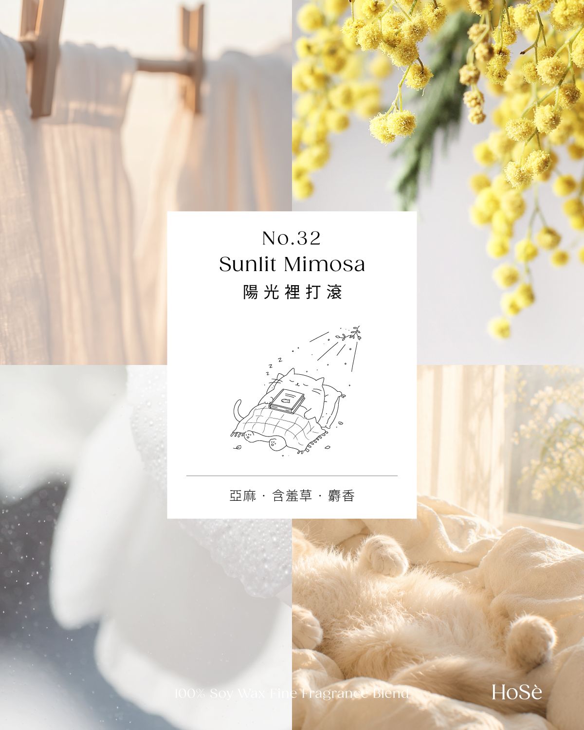 No.32 Sunlit Mimosa 陽光裡打滾