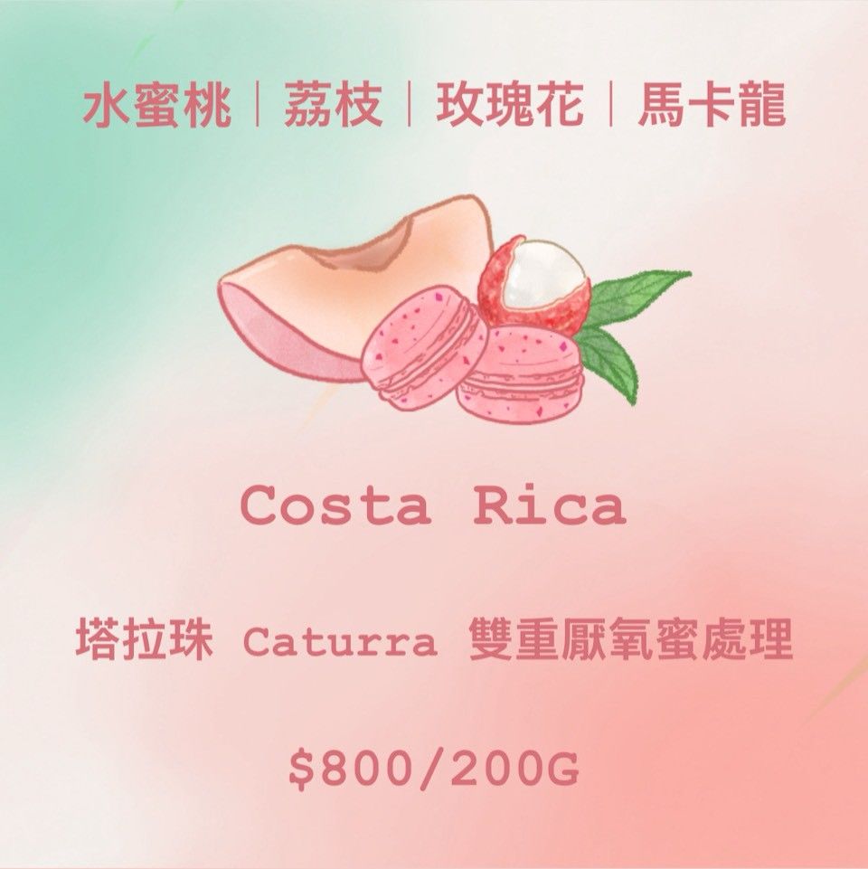 [花香] Costa Rica 水蜜桃 | 荔枝 | 玫瑰花 | 馬卡龍