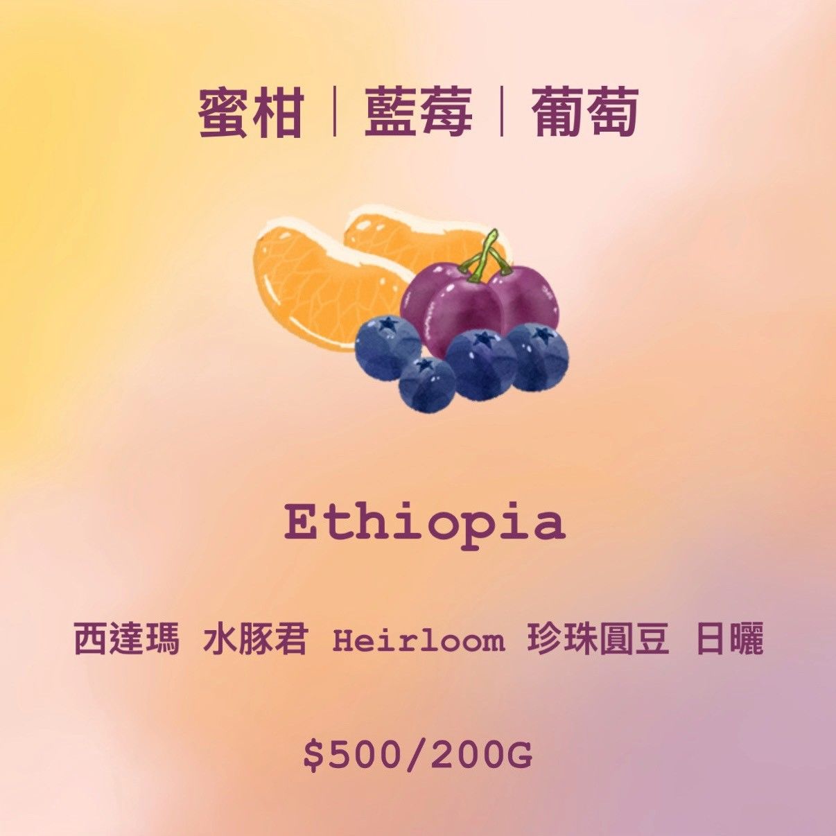 [果香] Ethiopia 蜜柑 | 藍莓 | 葡萄
