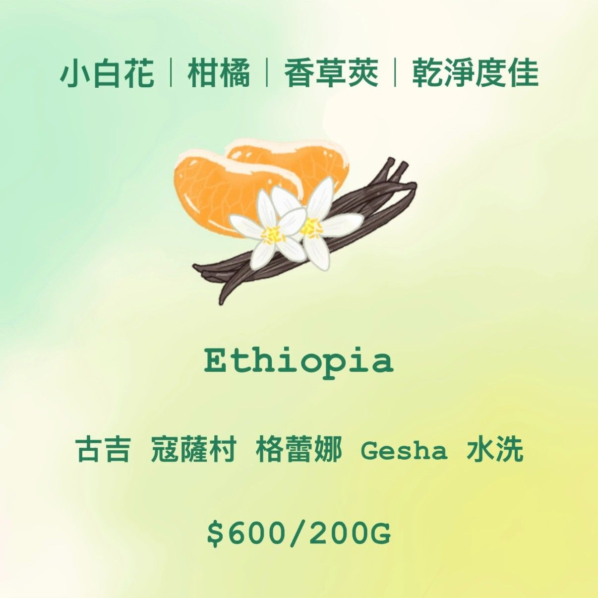 [藝伎] Ethiopia 小白花 | 柑橘 | 香草莢 | 乾淨度佳