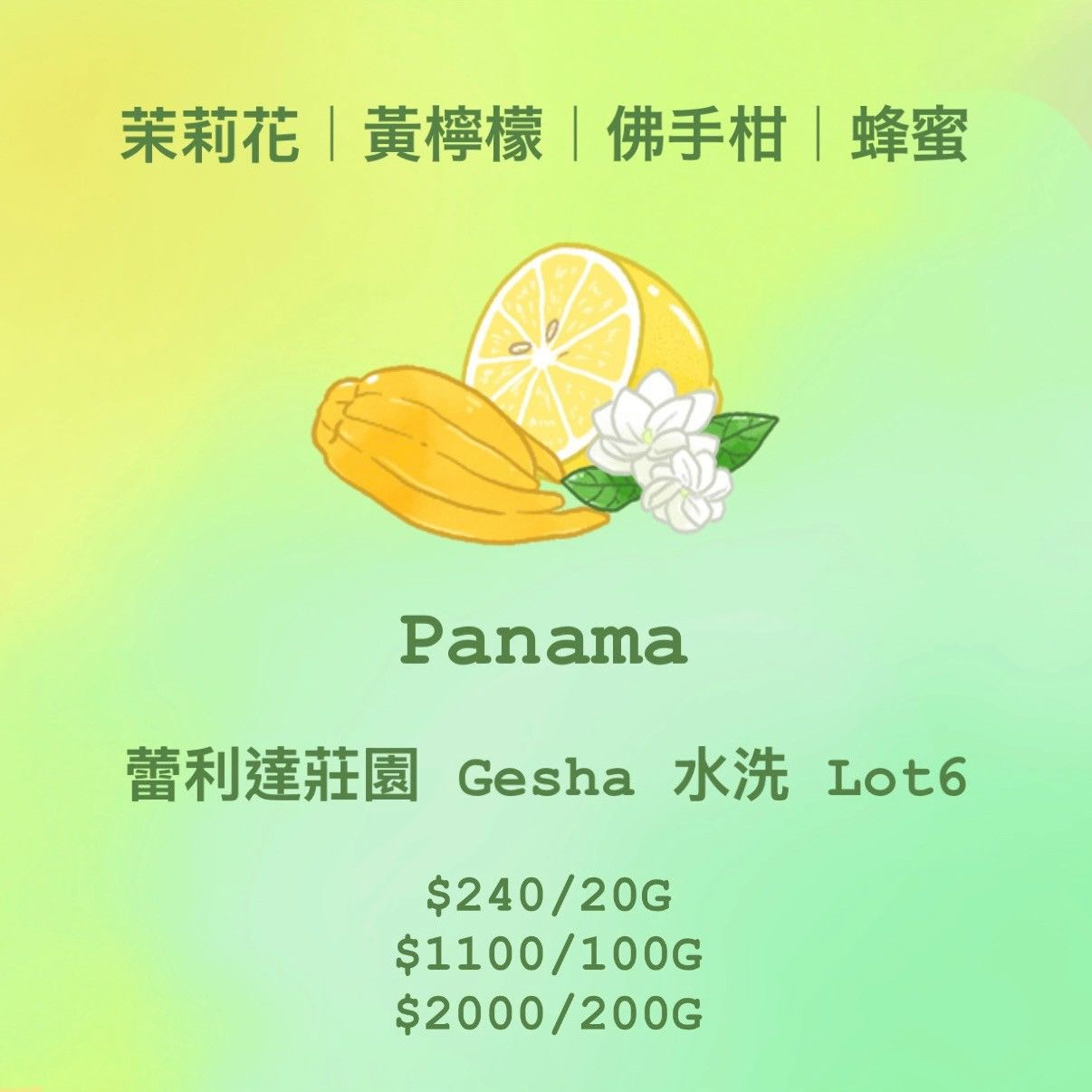 [藝伎] Panama 茉莉花 | 黃檸檬 | 佛手柑 | 蜂蜜