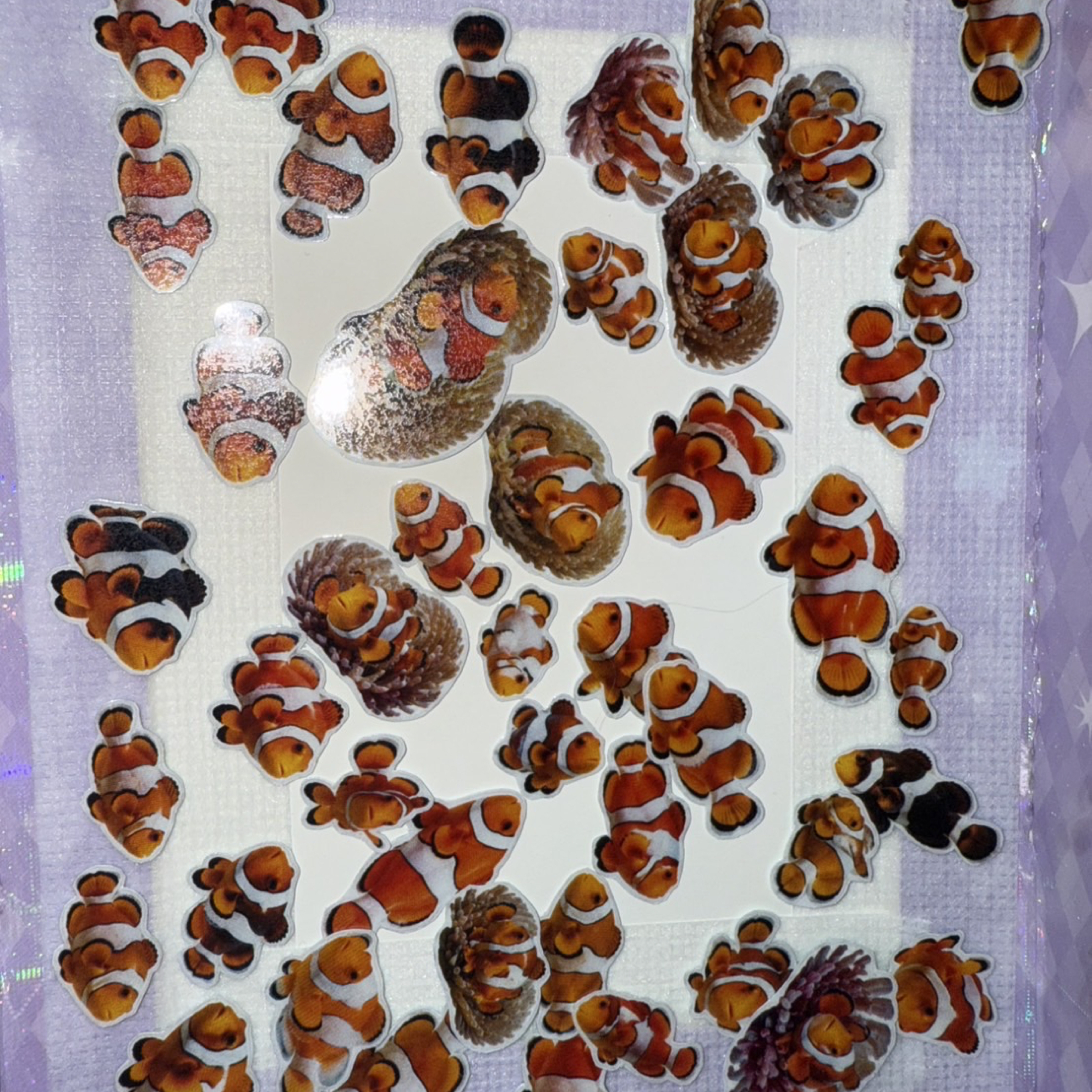小丑魚貼紙