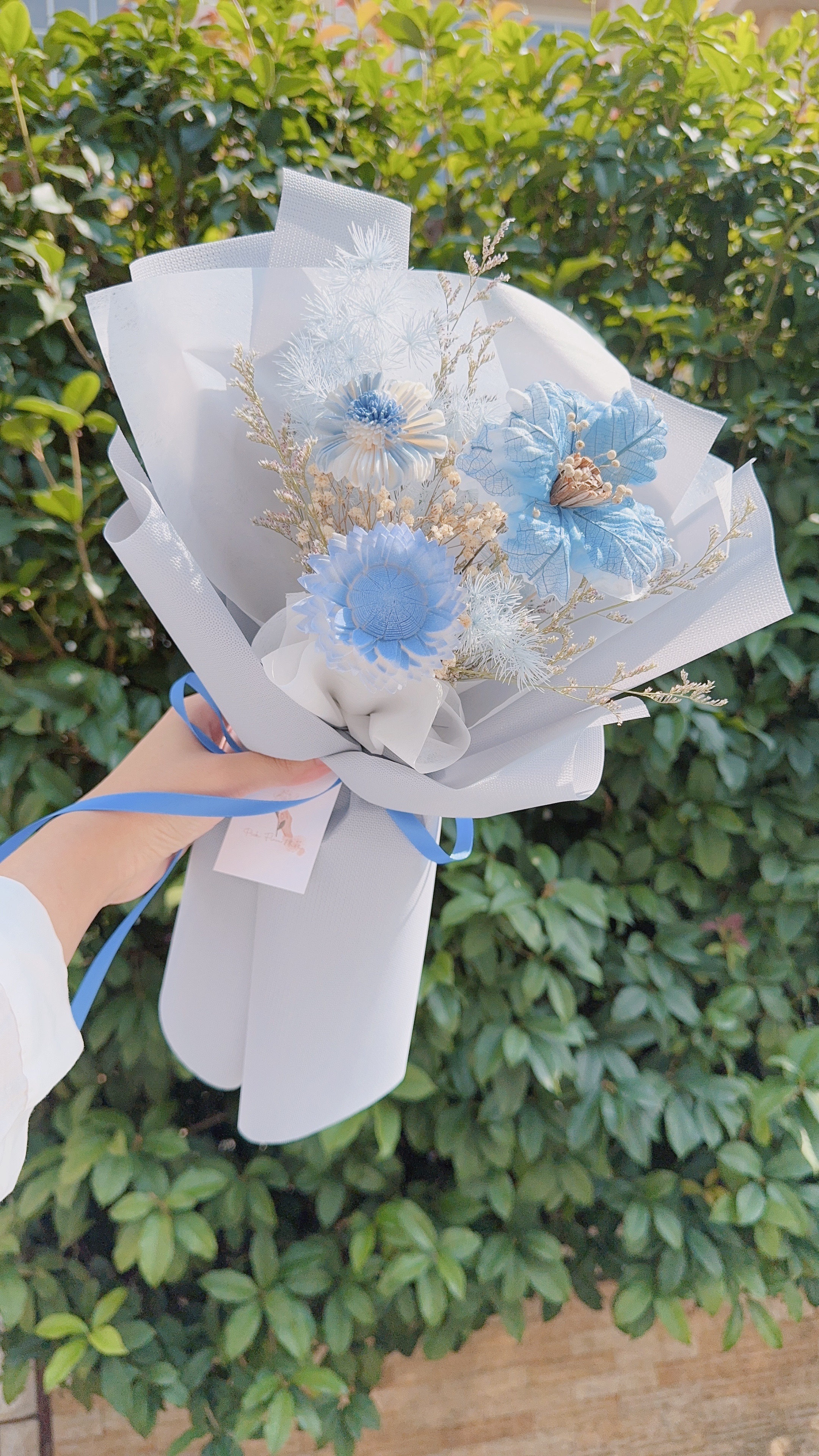 米蘭向日葵 雙色藍色系