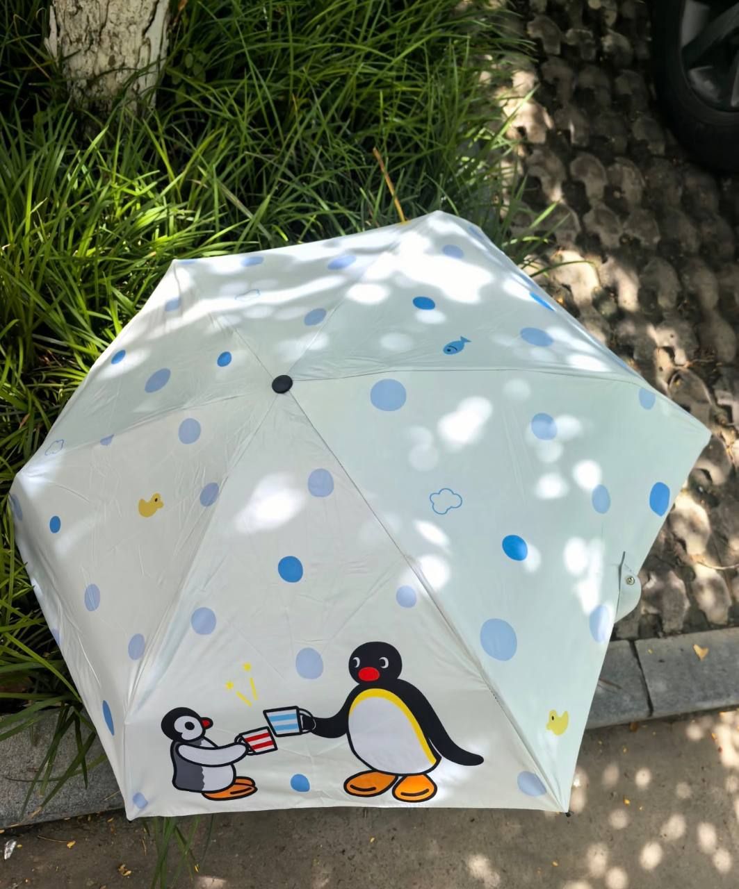 正版聯名🌟Pingu波點晴雨兩用傘