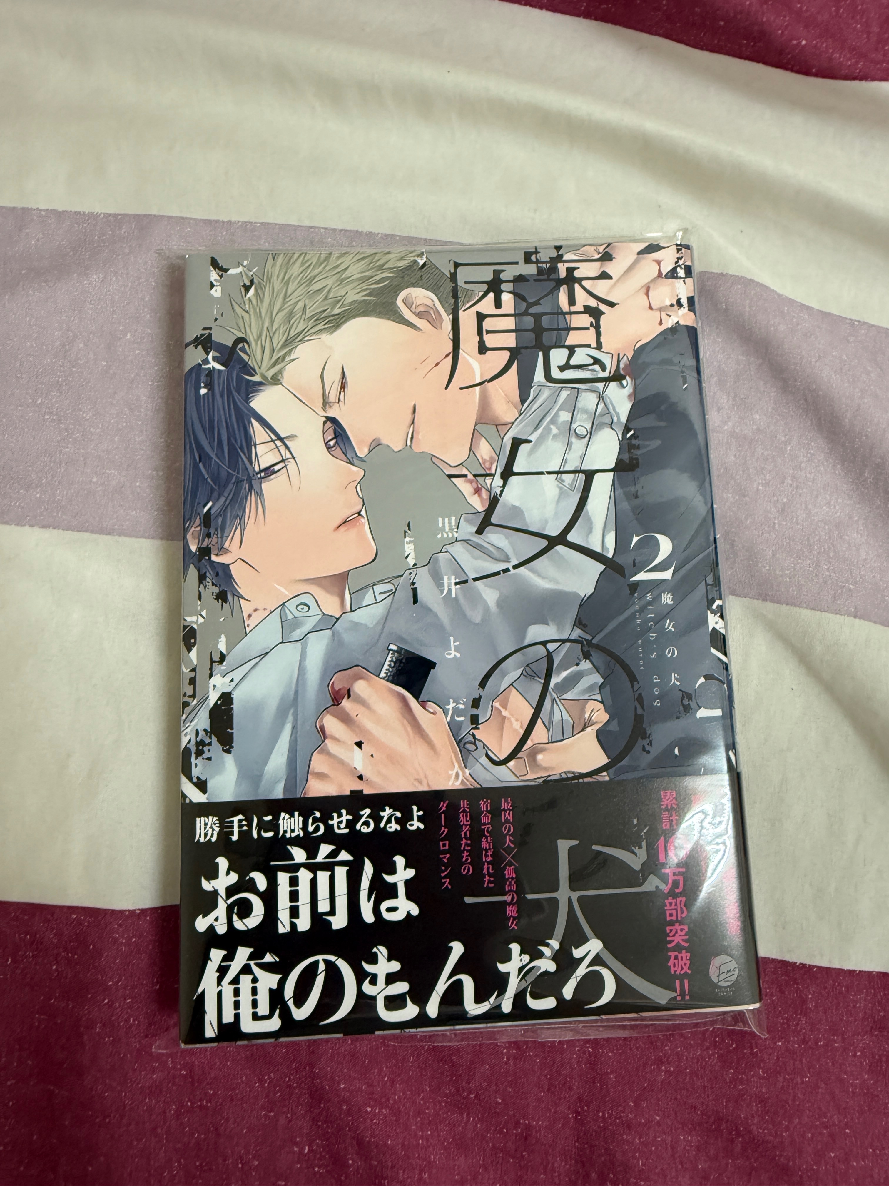 魔女と犬2