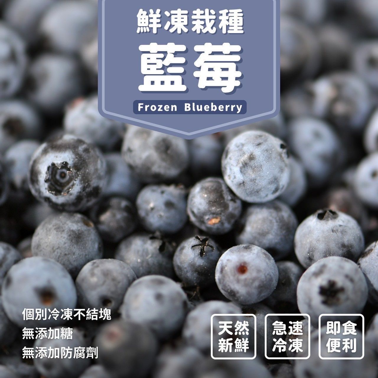 鮮凍栽種藍莓🫐