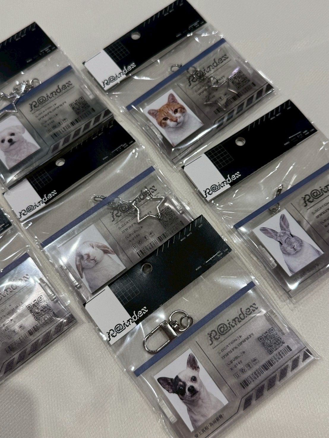 Raindex 品牌識別證