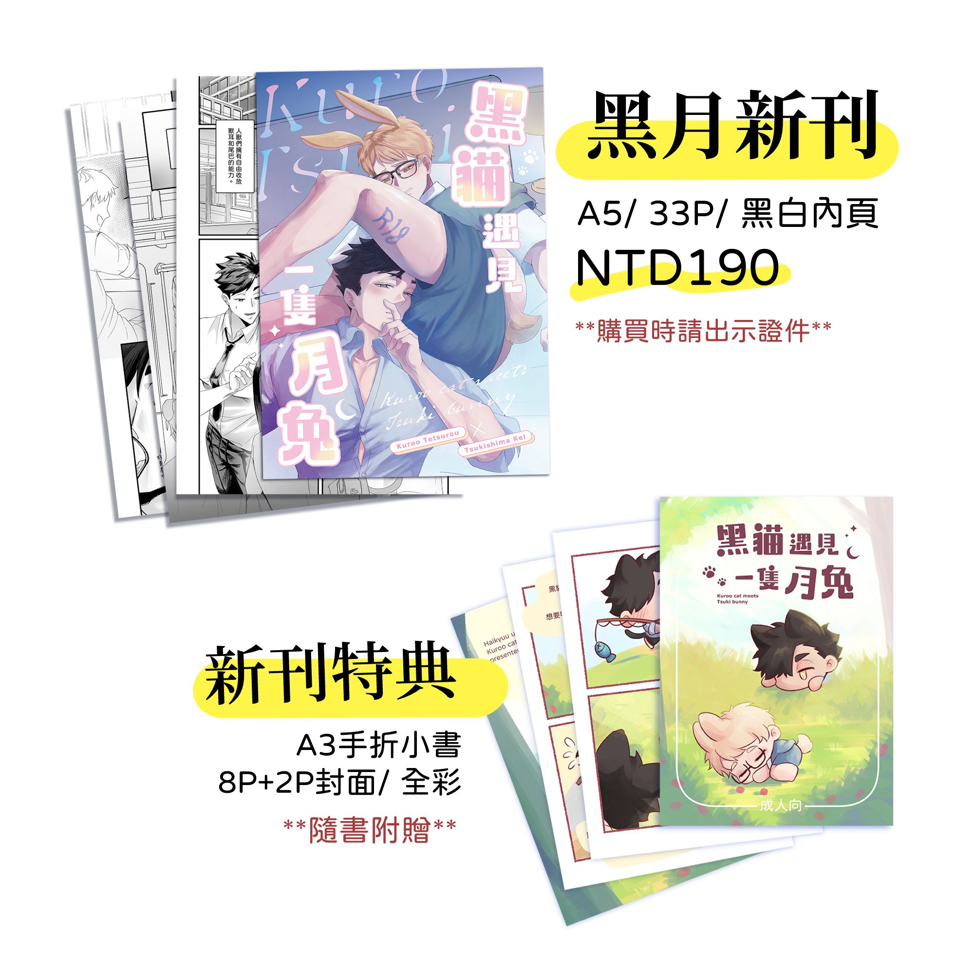 新刊 - 排球少年 黑月本 『黑貓遇見一隻月兔』