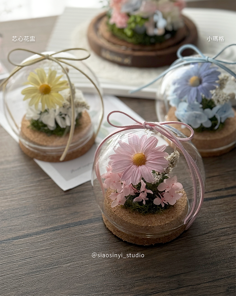 《芯心花盅》。小瑪格