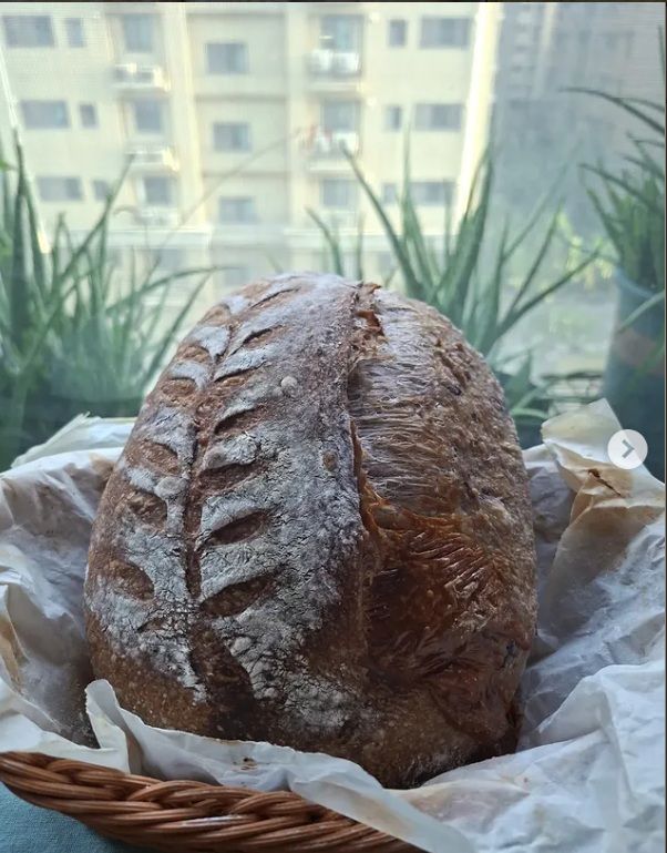 藍莓乳酪酸種歐包 280元