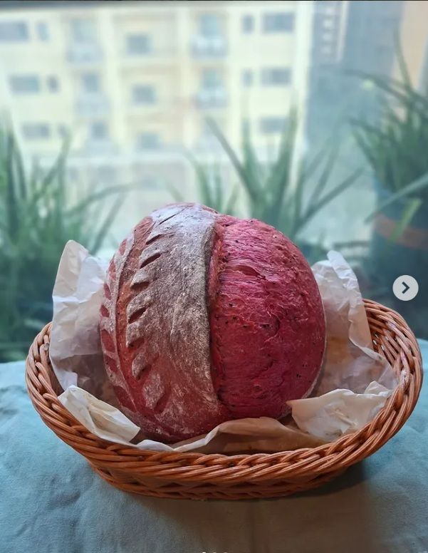 火龍果酸種歐包 260元