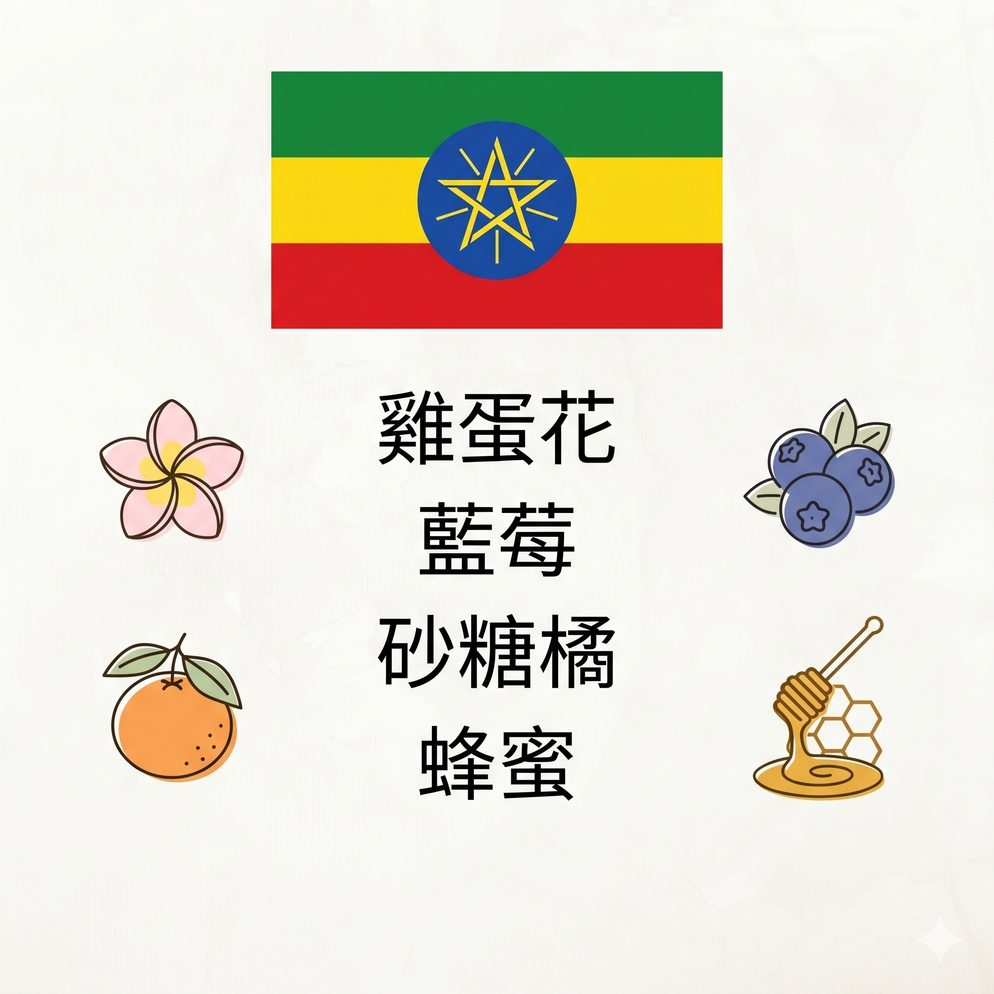 衣索比亞 西達摩 獅子王 G2｜日曬｜淺烘焙