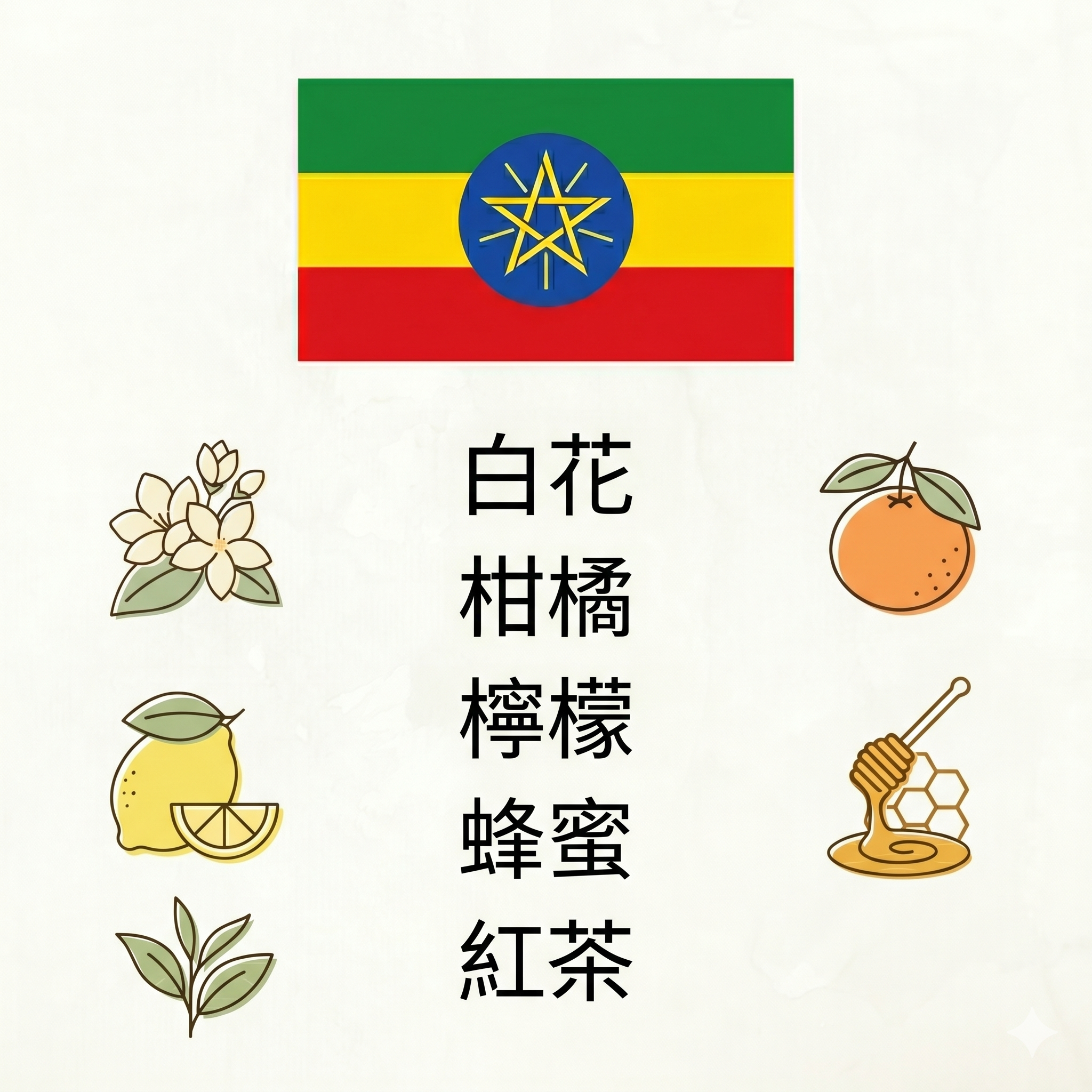衣索比亞 班奇馬吉 蕭瓦區｜水洗｜淺烘焙
