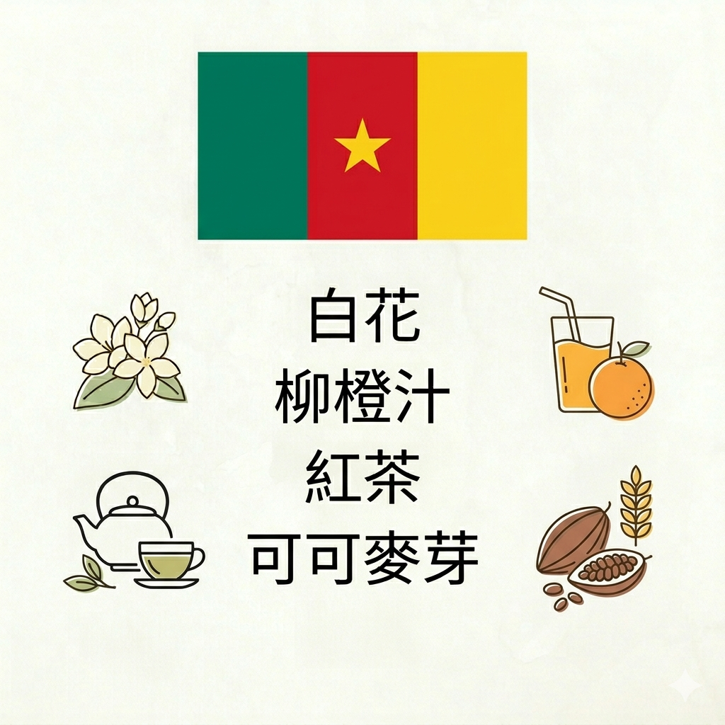 喀麥隆 波悠區 姆被薩村｜水洗｜淺烘焙